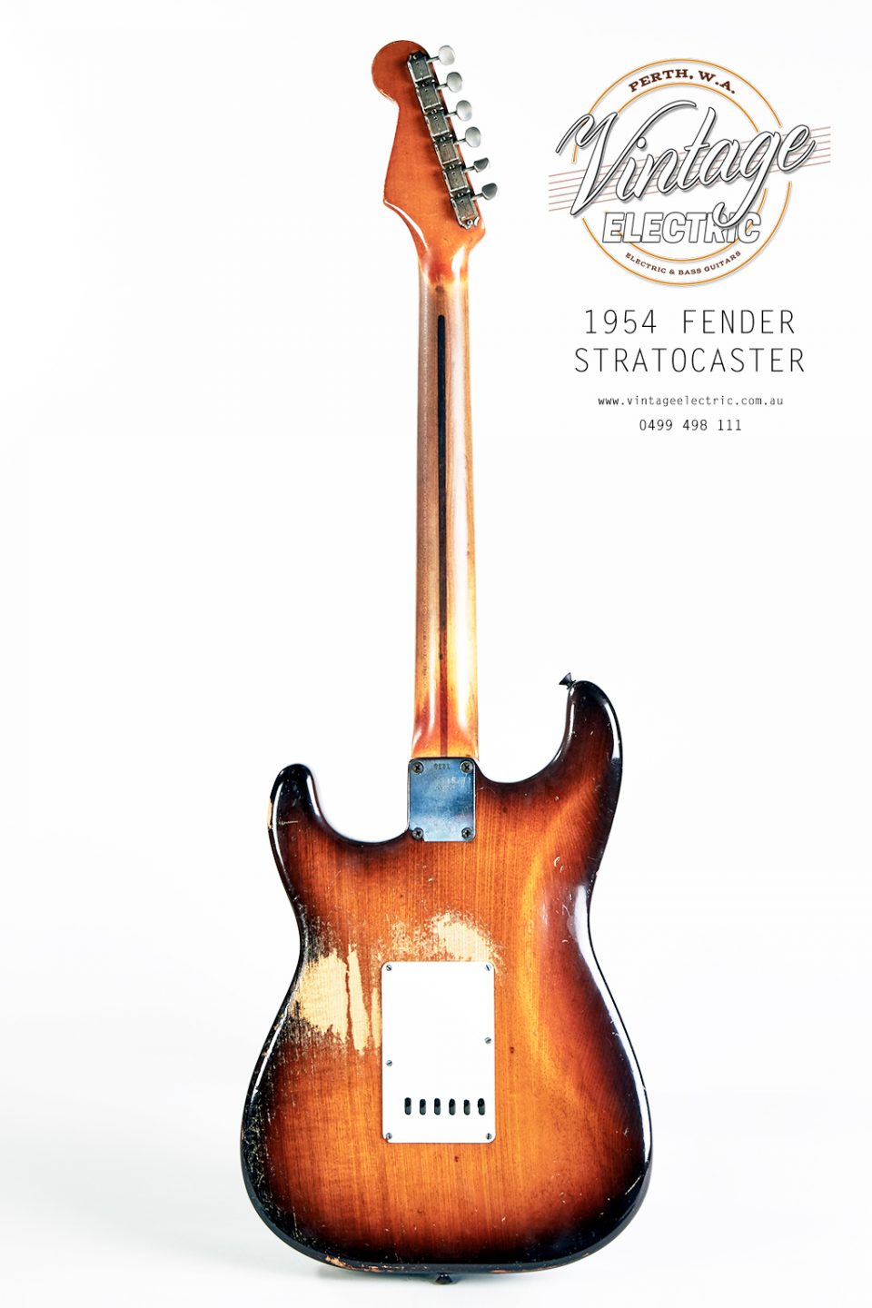 1954 Fender Stratocaster Back