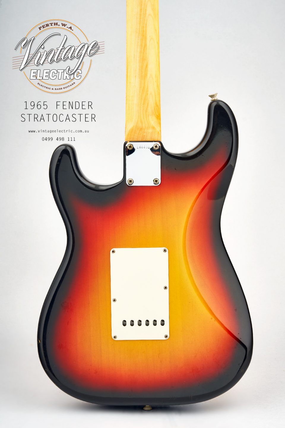 1965 Fender Stratocaster USA Back of Body