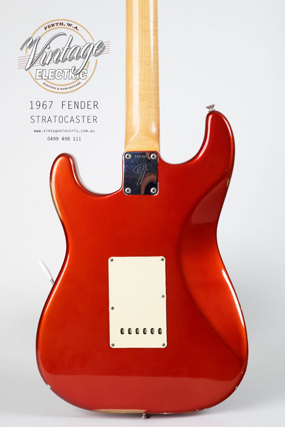 1967 Fender Stratocaster Back of Body