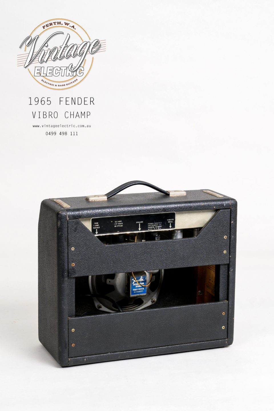 1965 Fender Vibro Champ Back