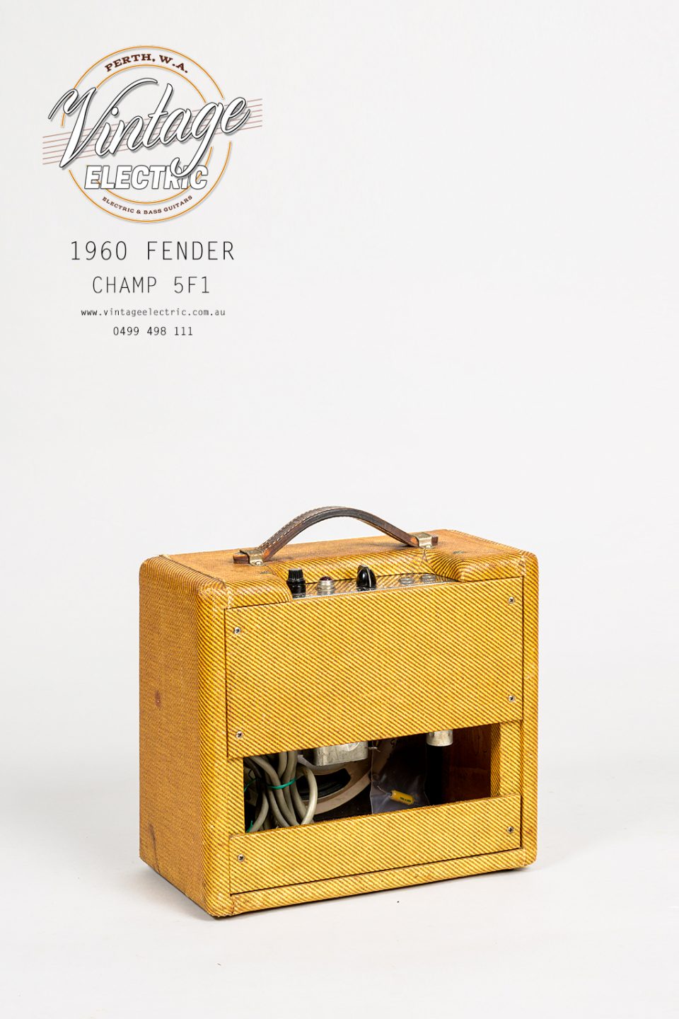 1960 Fender Champ 5F1 A Back