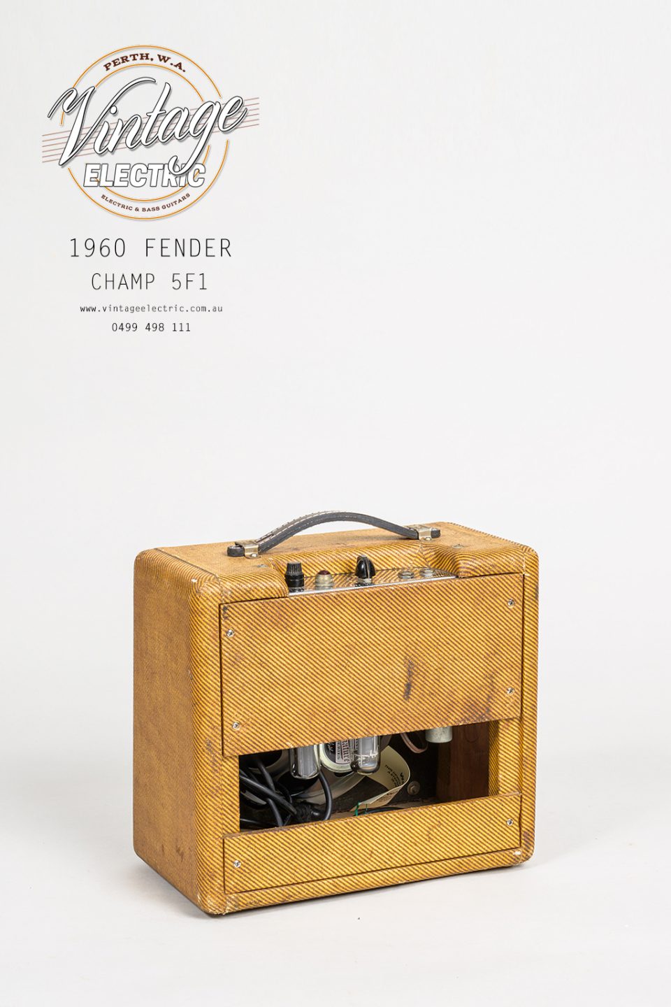 1960 Fender Champ 5F1 B Back
