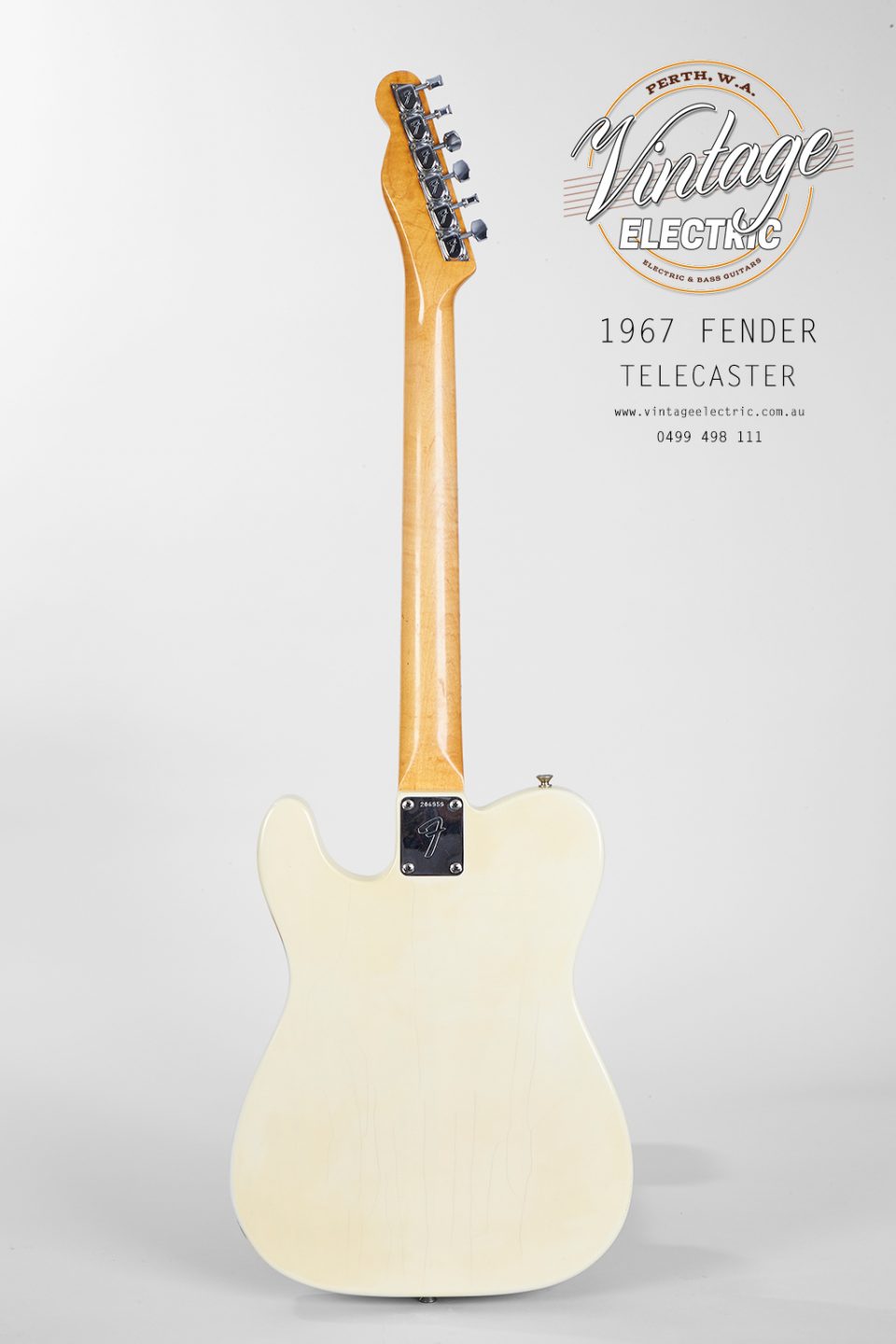1967 Fender Telecaster Back