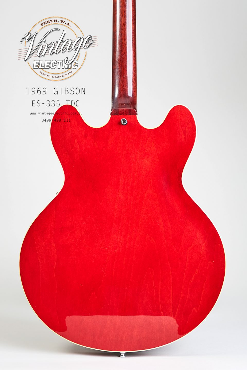 1969 Gibson 335 TDC Rear Body