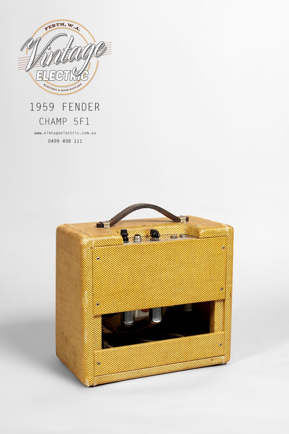 1959 Fender Champ 5F1 Back