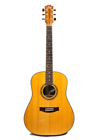 2007 Maton Amazonian Acoustic Guitar