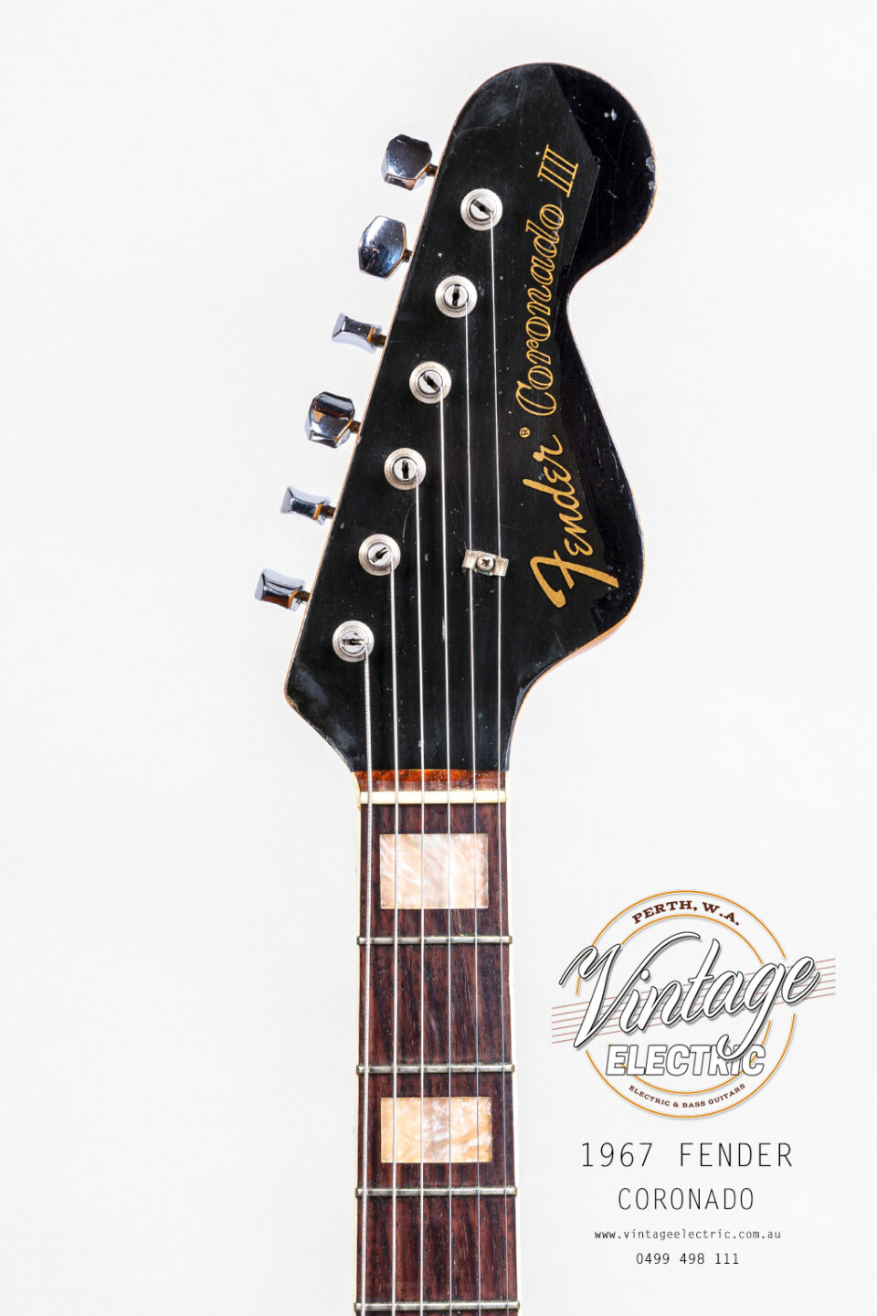 1967 Fender Coronado Headstock