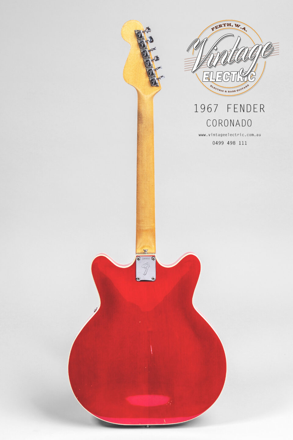 1967 Fender Coronado Light Rear