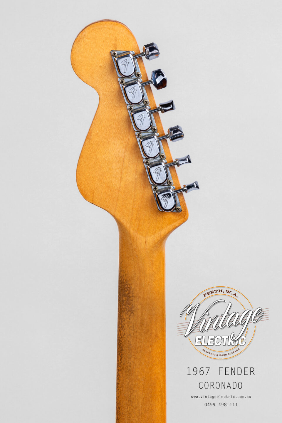 1967 Fender Coronado Rear Headstock