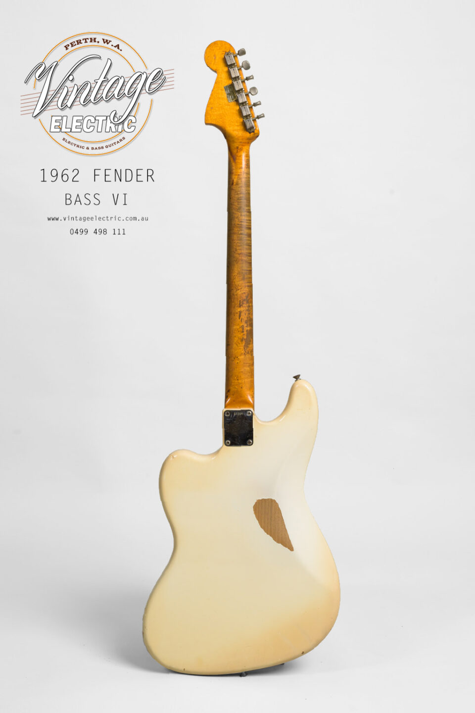1962 Fender Bass VI Back of Bass